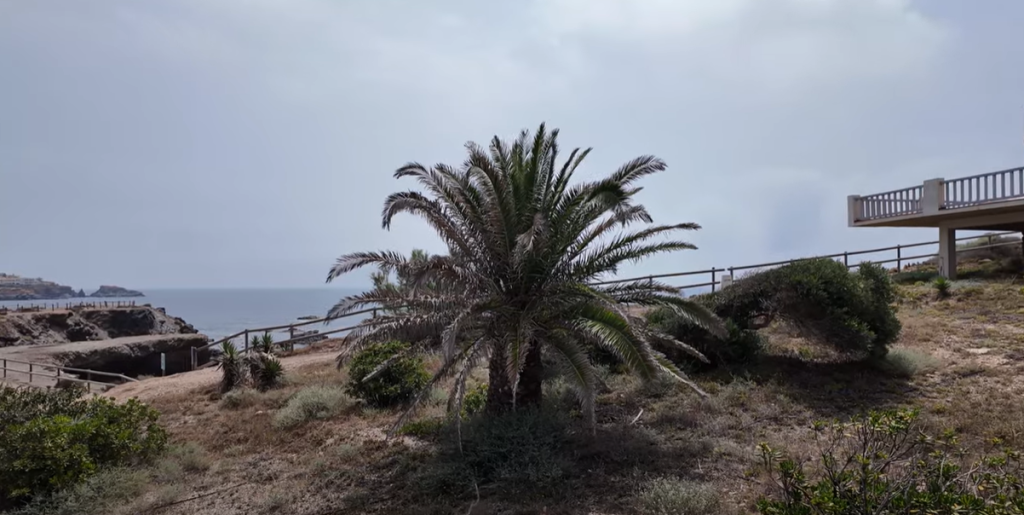 Cabo de Palos: Your Guide To This Beloved Village 4 Cape Palos, A fishing village