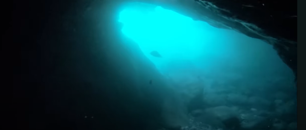 Snorkelling Tabarca: Explore This Marine Paradise 4 Cave of the Sea Wolf,