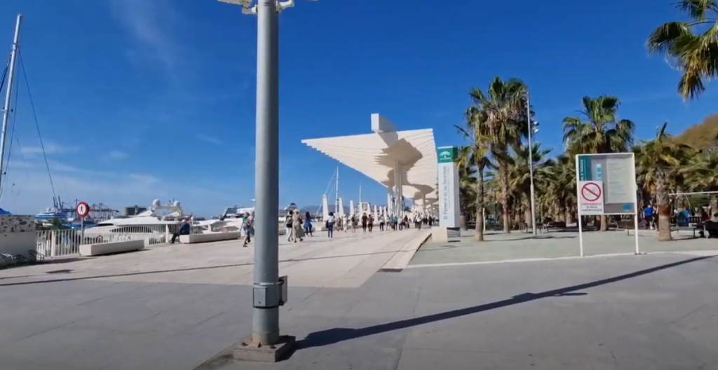 Málaga promenade, Palmeral de Las Sorpresas
