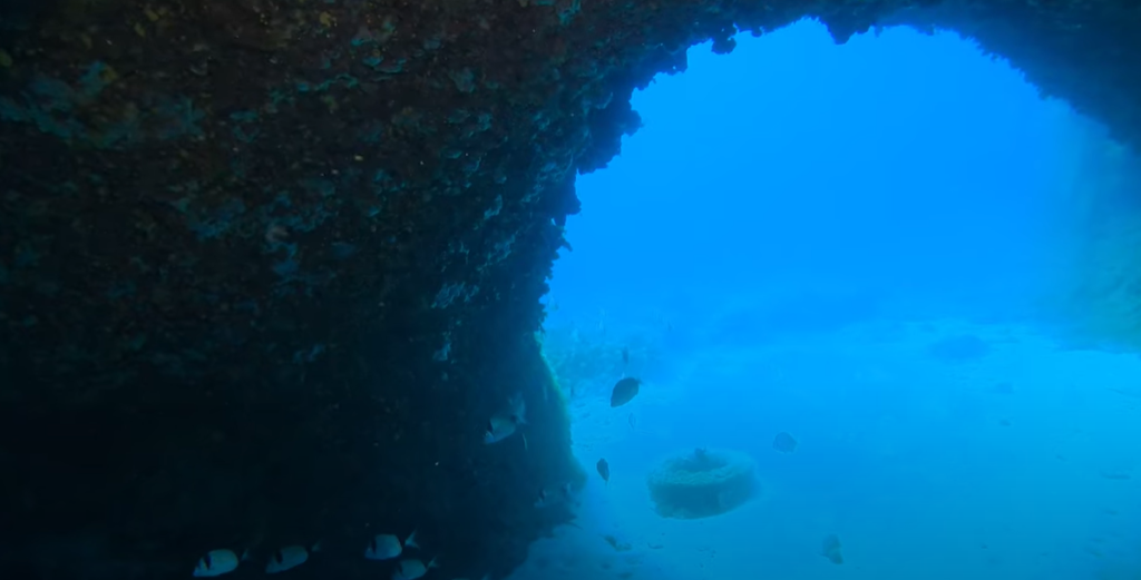 S’Algar Marine Reserve