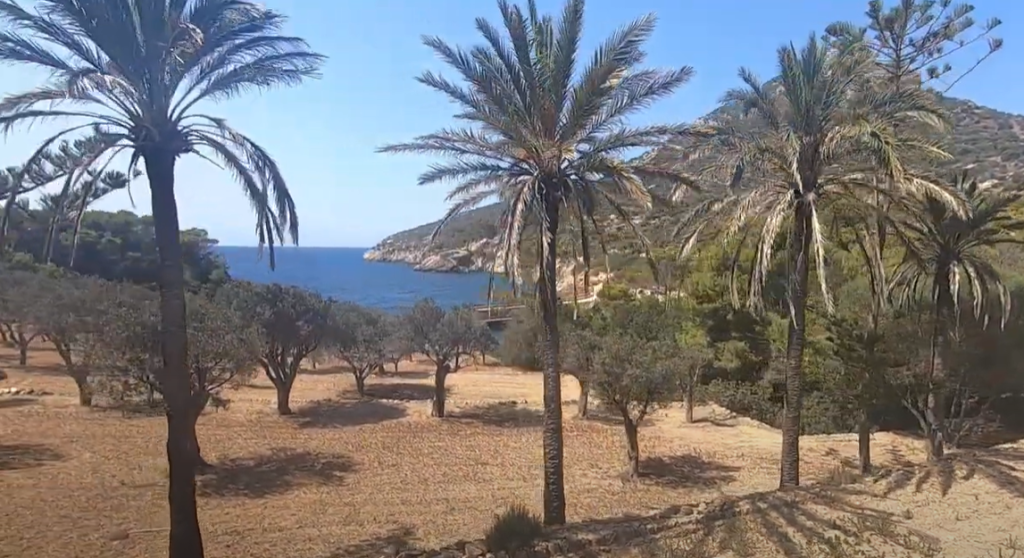 Sa Dragonera Island Mallorca