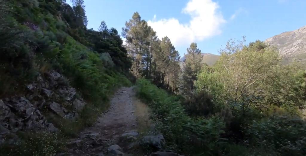 Sierra de Gredos: Rugged Peaks & Wildlife Wonders 3 Sierra de Gredos Regional Park Footpaths