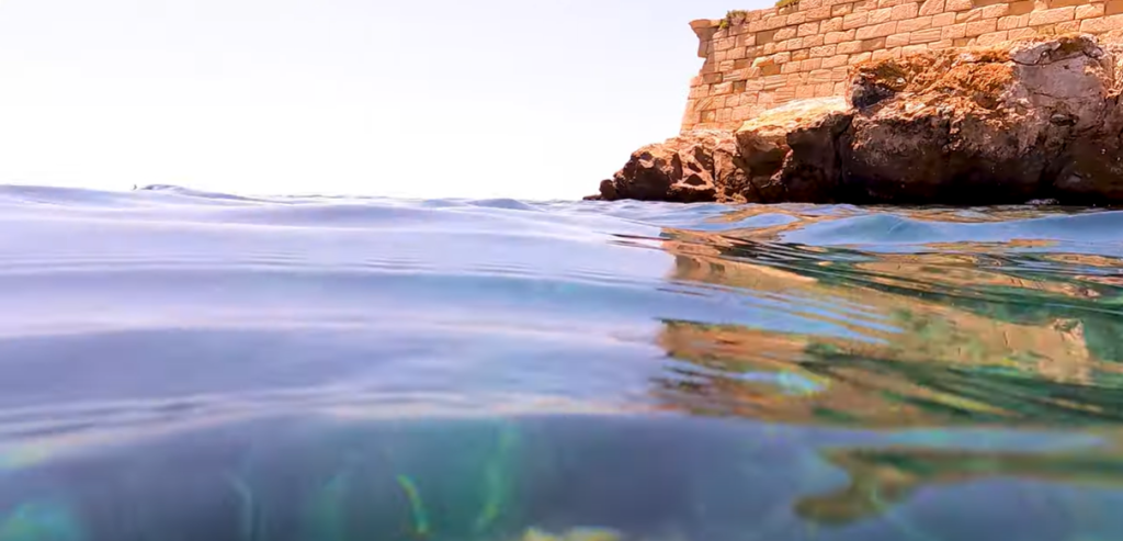 Snorkelling Tabarca: Explore This Marine Paradise 6 Snorkelling Tabarca Island