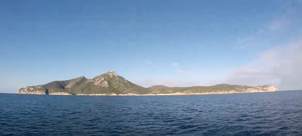 Scuba Diving in Mallorca: Your Ultimate Guide 10 scuba diving in mallorca Dragonera Island