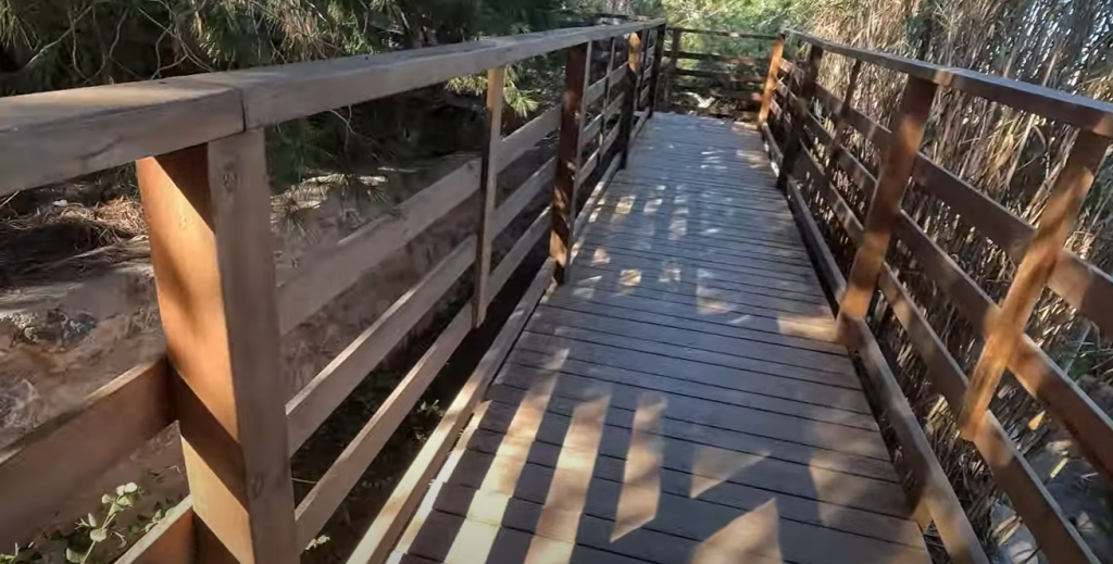 Cuevas del Rodeo Rojales: A Hidden Treasure 9 walkway