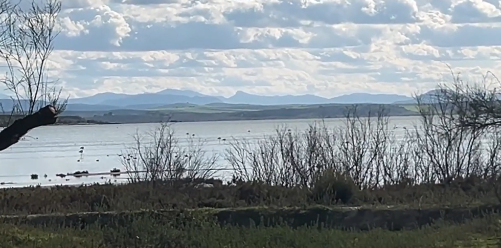 Lakes of Spain: Complete Guide to Natural Beauty & Hidden Gems 8 Laguna de Fuente de Piedra