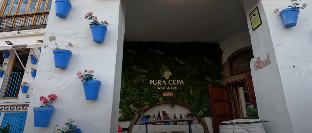 Things To Do In Frigiliana Spain