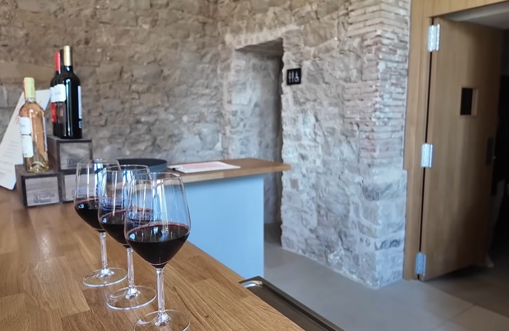 Logroño: Ultimate Guide to Spain's Wine Capital and Tapas Paradise 16 wine tasting