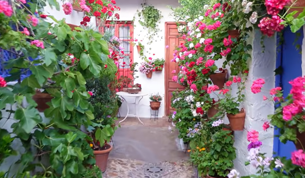 Córdoba patios guide